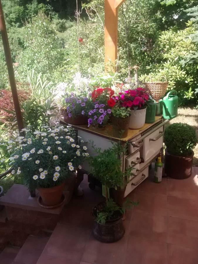 Casa La Collina Delle Ginestre Lejlighed Eberbach  Eksteriør billede