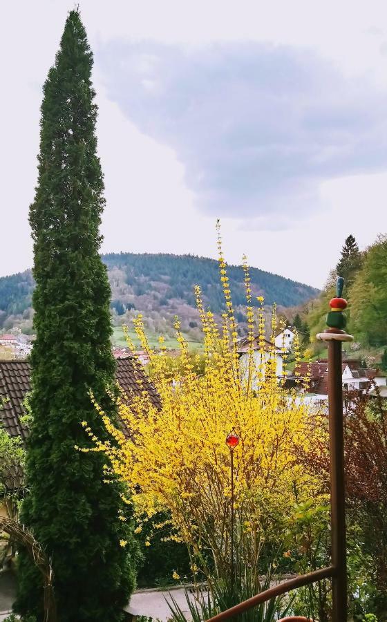Casa La Collina Delle Ginestre Lejlighed Eberbach  Eksteriør billede